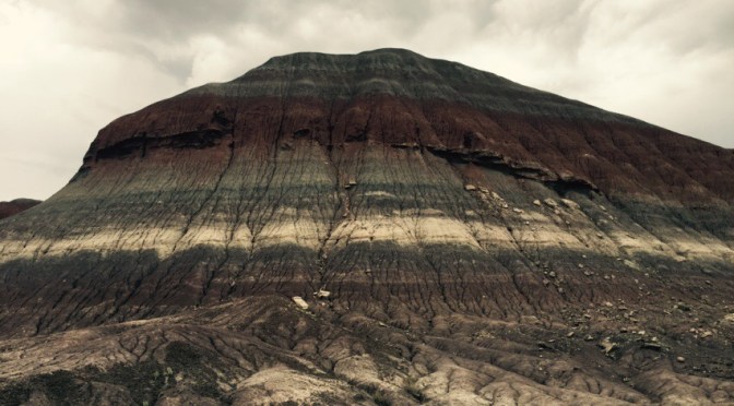 Petrified Forest National Park