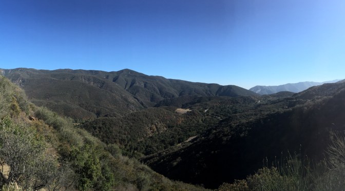 Los Padres National Park