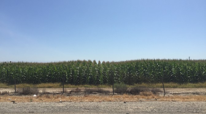 Day 12 Road Updates: 10AM Pacific