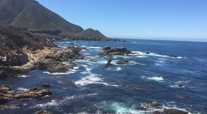 Day 13 Road Updates: 2PM Pacific