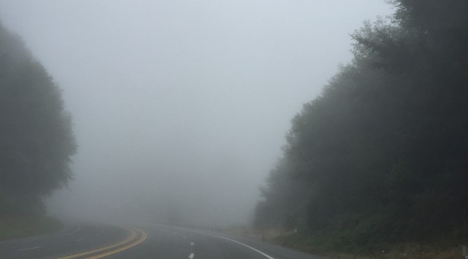 Day 16 Road Updates: 5PM Pacific