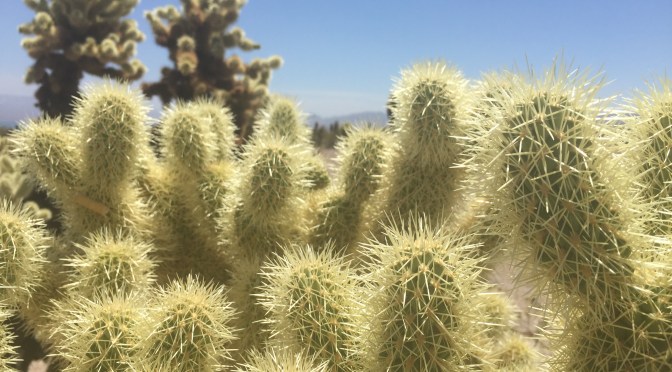 Travel Updates Day 21: 3PM Pacific